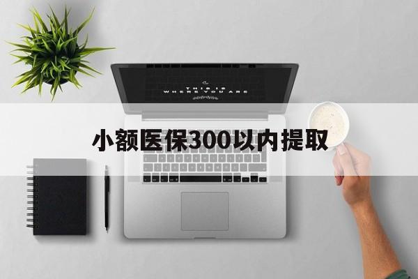 西双版纳最新小额医保300以内提取方法分析(最方便真实的西双版纳小额医保300以内提取中介方法)